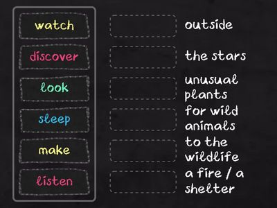 Wider World 3 Unit 2 Camping collocations