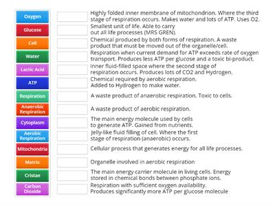 Respiration definition mix and match