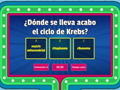 Preguntas de la clase