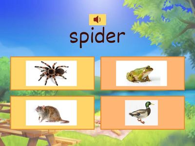 UNIT 3: PET SHOW SUPERMIND 