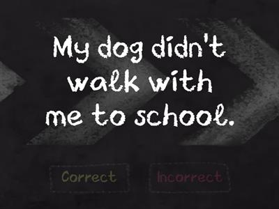 Past Simple Negative