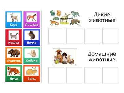 Дикие и домашние животные 