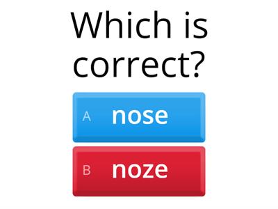  Fundations /s/ or /z/