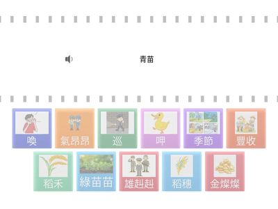 114翰林BG401稻間鴨_圖詞理解