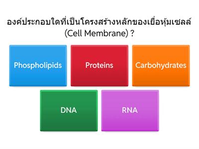 คำถาม Cell biology 