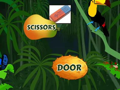 Classroom objects - Flying fruit