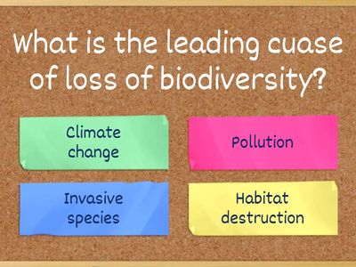Loss of biodiversity