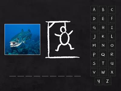 Barton 7.11 AR+R ER+R