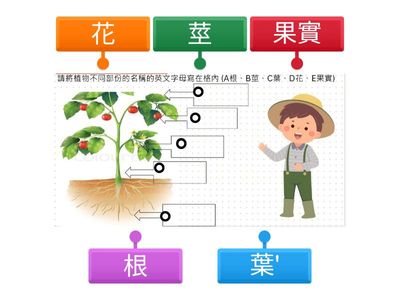 分辨食用植物的不同部分