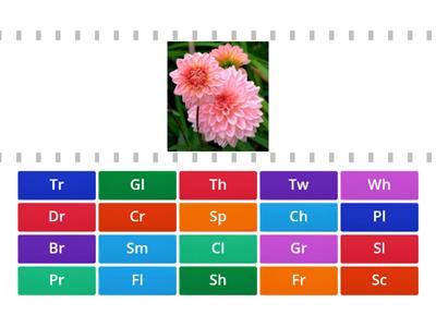 Consonant Clusters Game