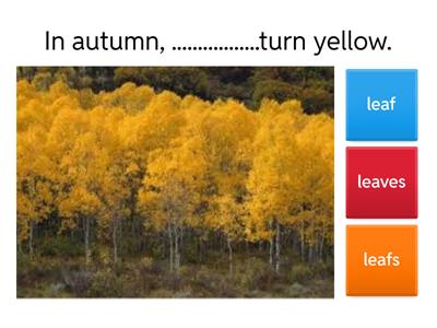 Plural nouns