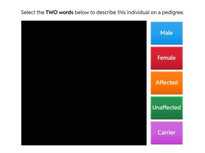 Biology: Pedigree Practice