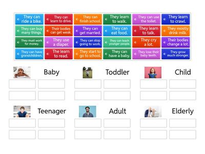 Human life cycle: What can they do?