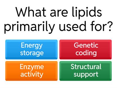 Macromolecules and Their Functions
