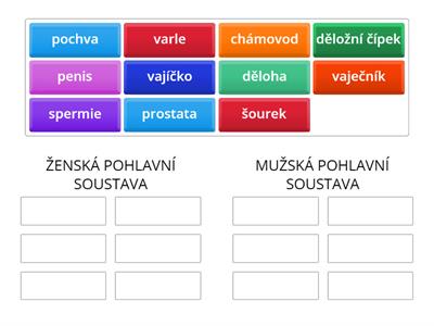 POHLAVNÍ SOUSTAVA ČLOVĚKA - třídění