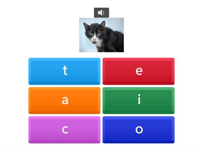 JPG Medial Sounds-add more