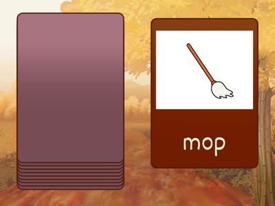 Household Items- vocab words + speaking