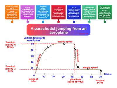 Terminal Velocity Graph