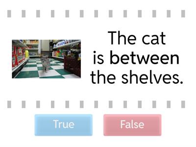Prepositions - in, on, next to, between, under.