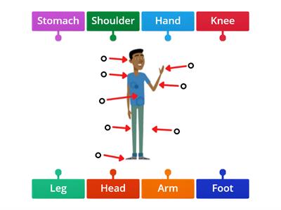 Body parts: diagrama etiquetado