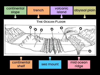 Ocean Floor Diagram
