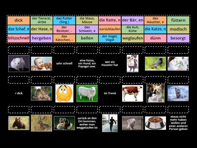Netzwerk neu A2 L10 Tiere