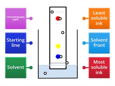 Paper chromatography