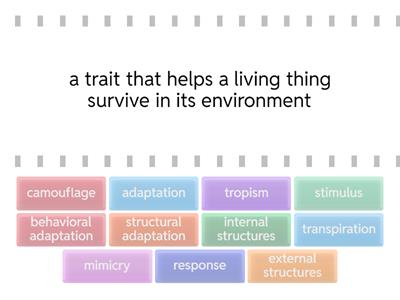 S2T3U4- Plants and Animals