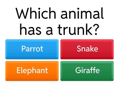 Jungle Animal Quiz