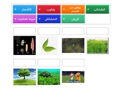 مفردات الاستماع