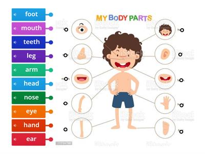 Parts of the Body