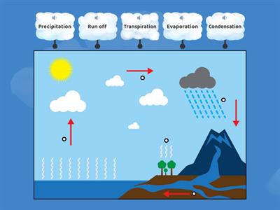 The Water Cycle