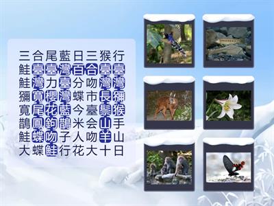 國中社會_B1G2臺灣的特有生物