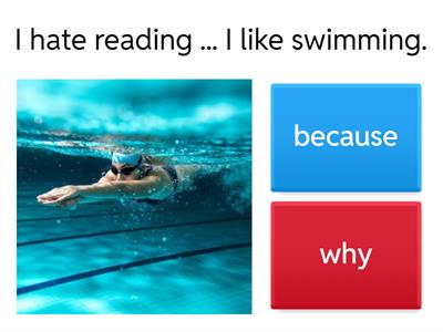 Why / because _ Roadmap A1