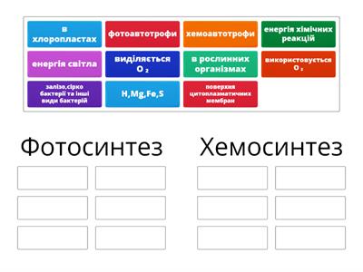 Перевір свої знання,розподіли за групами