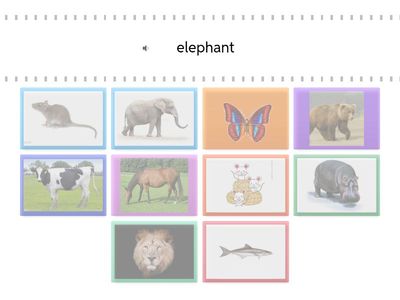 單字Animal 2 匹配