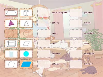 3D and 2D Shape Matching