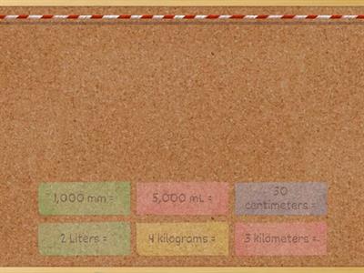 Metric Measurement Conversion Practice