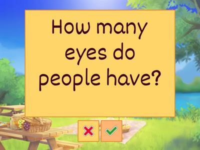 Beginner: Vocabulary Questions 