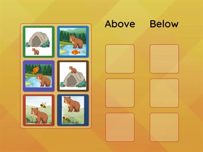 Bear Positional Words