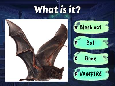  HALLOWEEN QUIZ