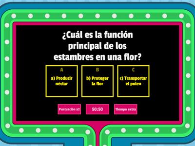 concurso de preguntas 