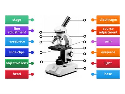Microscope Labeling