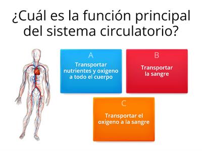 Sistema Circulatorio