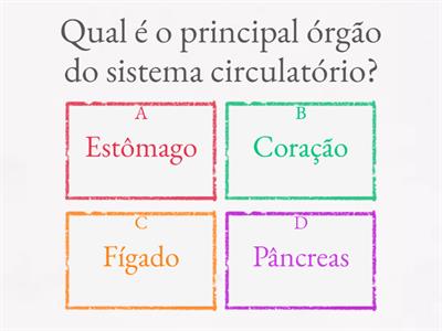 Sistema circulatório e sistema reprodutor