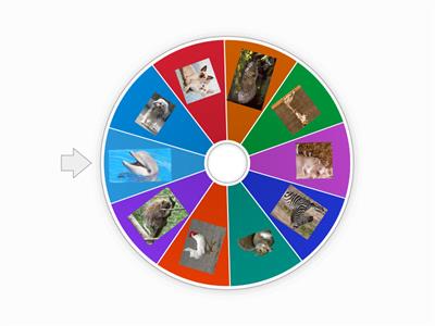 Pre-school Animal Identification