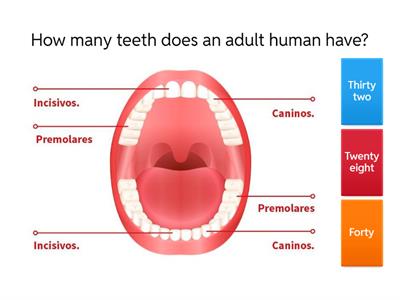 Written Numbers Practice Quiz