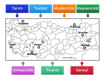 Ekonomik Faaliyetler Harita Eşleştirme 