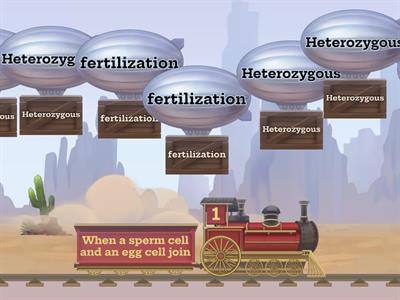 Mendel, Reproduction, Inheritance