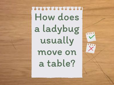 Outcomes Int U 11 L1 question to voc